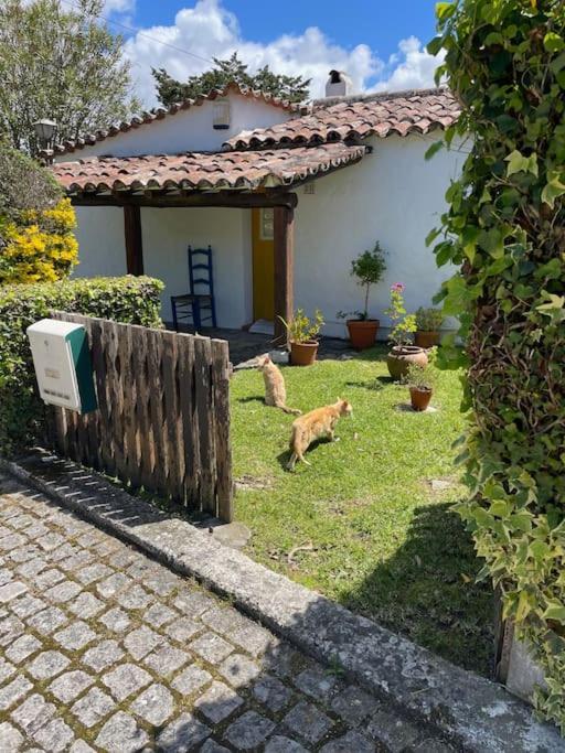 Ocean, Surf, Golf Private Villa With Pool Near Lagoon Casal do Narcizo Kültér fotó